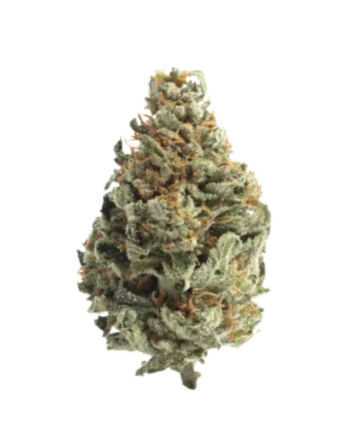 Gorilla Glue